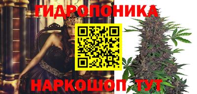 PSILOCYBIN Малоярославец