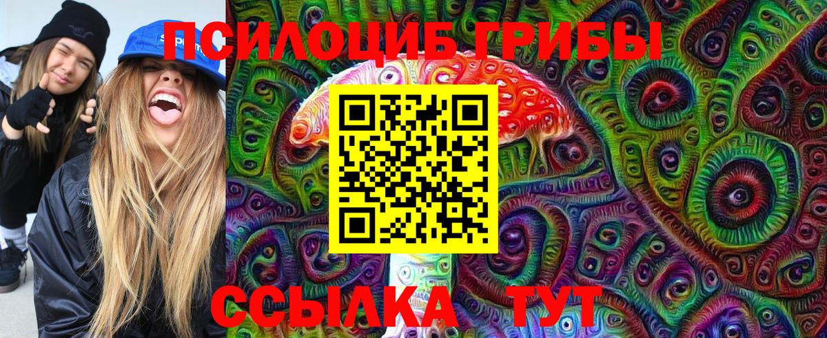 Видное  где можно купить   Вход с VPN  Псилоцибиновые грибы прущие грибы 