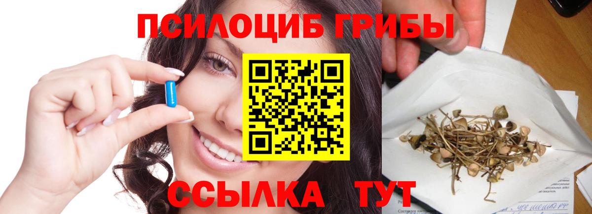 Псилоцибиновые грибы GOLDEN TEACHER Видное