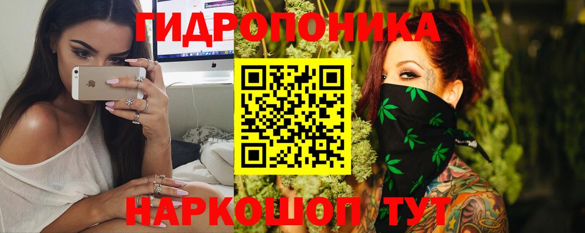 Бошки Шишки план  Шишки марихуана гибрид  Видное  Марихуана гибрид  Вход с VPN  Каннабис Bruce Banner 